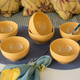 Actual 6 Piece Dinner Soup Bowl Set