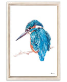 Kingfisher by Laurie Duncan Large Blue Framed Canvas Wall Art