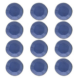 RYO 12 Piece Blue Dinner Plate Set